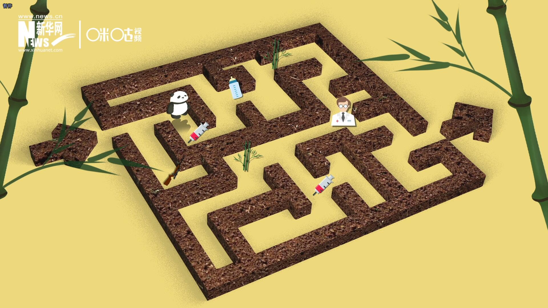 2016年，國(guó)際自然保護(hù)聯(lián)盟將大熊貓的物種瀕危等級(jí)，從&ldquo;瀕危&rdquo;下降到了&ldquo;易危&rdquo;。