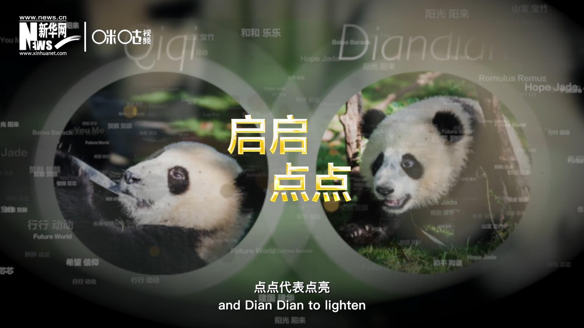 啟啟代表&ldquo;啟發(fā)&rdquo;，點(diǎn)點(diǎn)代表&ldquo;點(diǎn)亮&rdquo;，象征著2030年可持續(xù)發(fā)展議程 的&ldquo;起點(diǎn)&rdquo;，也象征著全球可持續(xù)發(fā)展路徑的新起點(diǎn)。