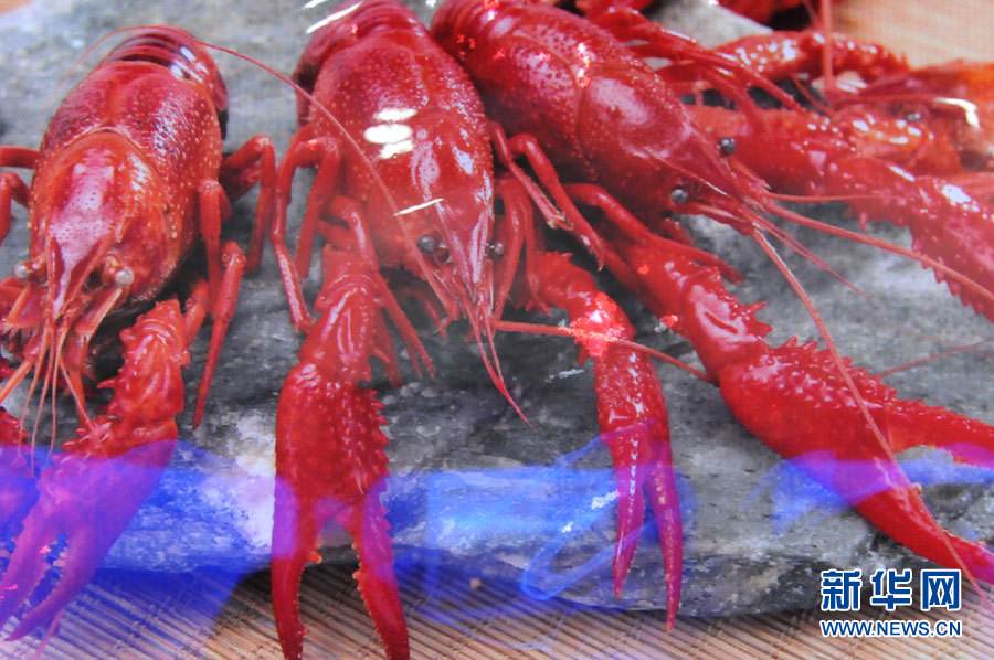 螺螄殼里做道場，小龍蝦吃出大產業