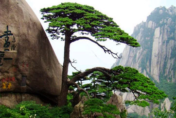 《行走》年終盤點·游名山大川