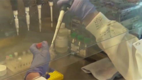 美國：專家&mdash;&mdash;南非和巴西發現的變異株很難確診