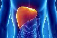 【健康解碼】轉(zhuǎn)氨酶輕度升高要不要緊？