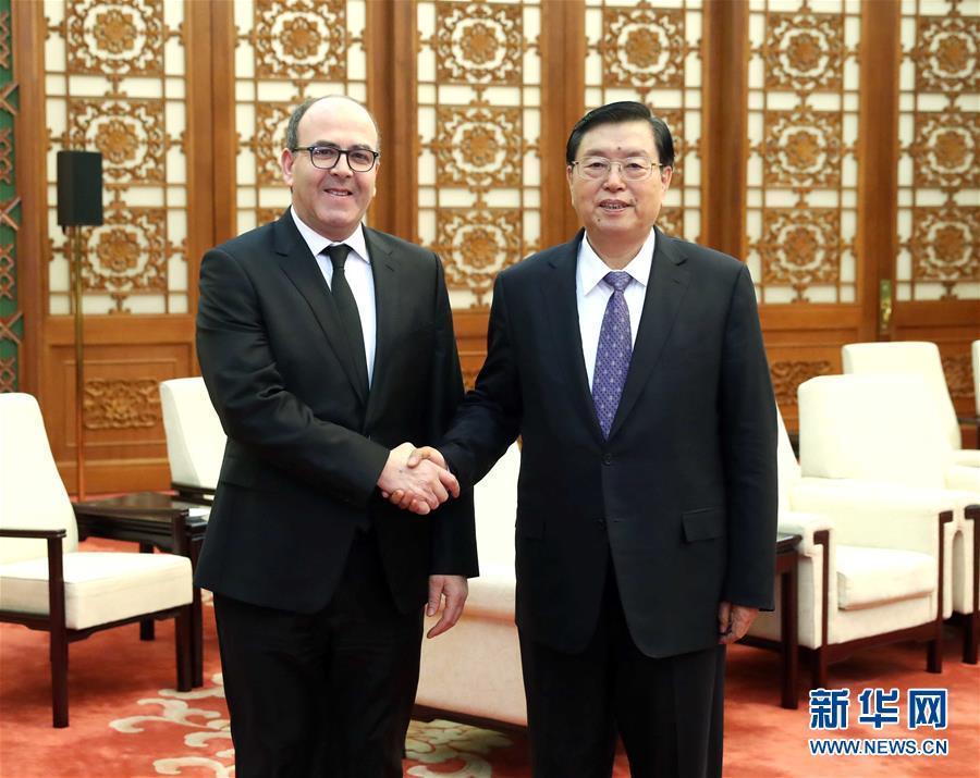 12月20日，全國人大常委會委員長張德江在北京人民大會堂會見摩洛哥參議長本希馬。新華社記者劉衛兵攝