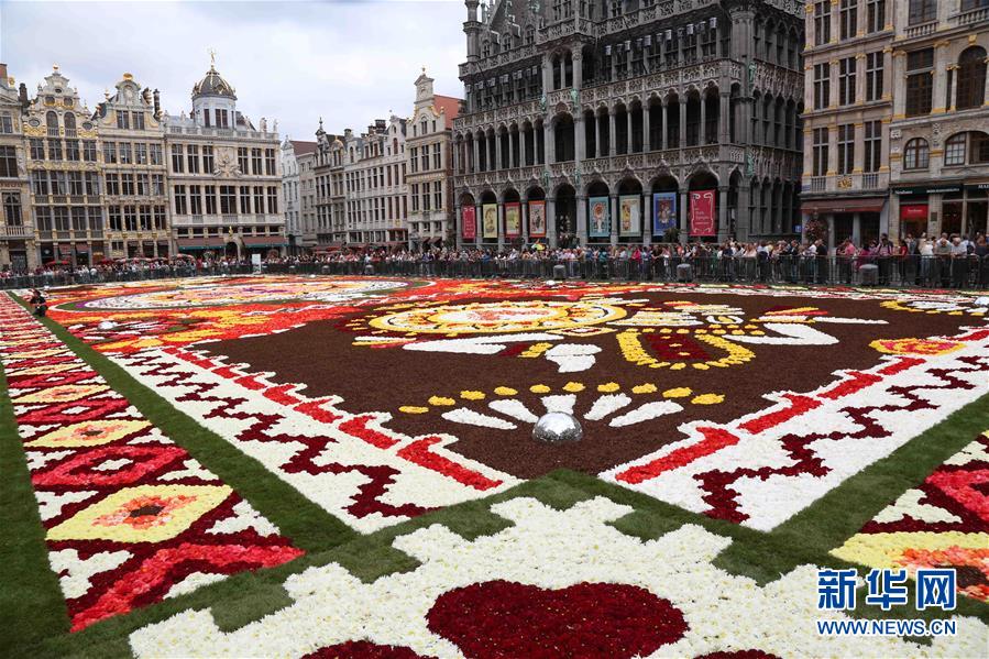 （國(guó)際）（2）布魯塞爾鮮花地毯