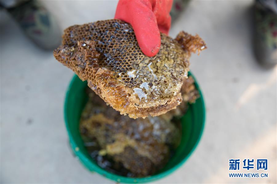 （國(guó)際&middot;聚焦進(jìn)口博覽會(huì)&middot;圖文互動(dòng)）（7）通訊：贊比亞蜂蜜企業(yè)欲借進(jìn)博會(huì)開拓中國(guó)市場(chǎng)