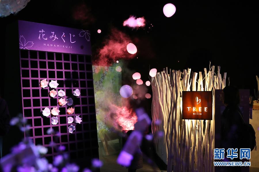 （國際）（2）日本東京：寒冬時節賞&ldquo;繁花&rdquo; 