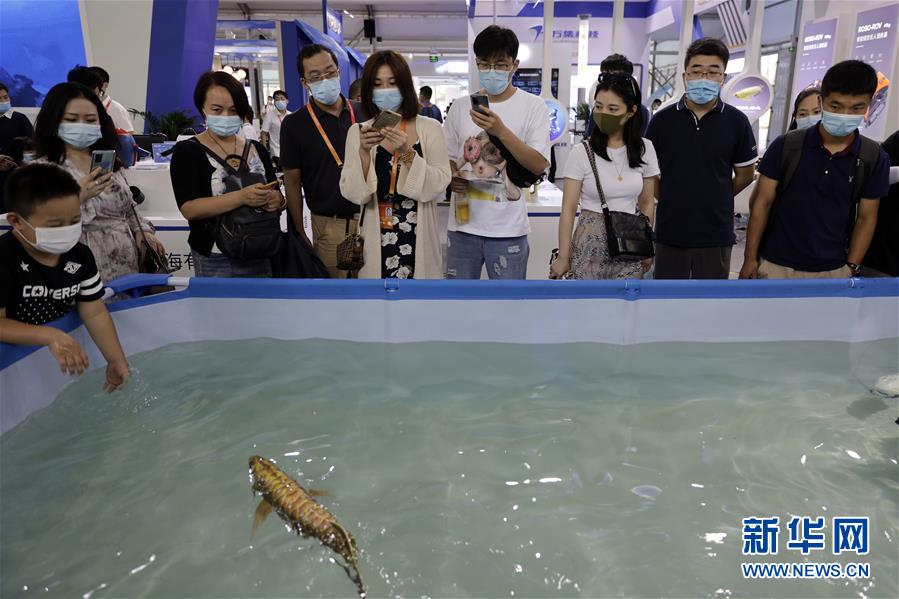 （2020服貿會）（6）各顯神通的&ldquo;機器伙伴&rdquo;