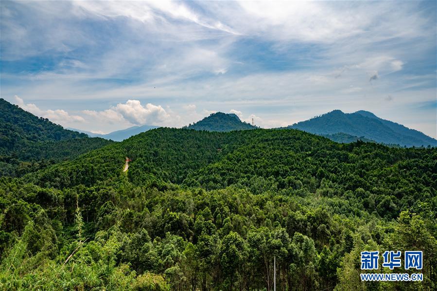 （第三屆進博會&middot;圖文互動）（2）專訪：進博會提供了一個共享中國發展機遇的平臺