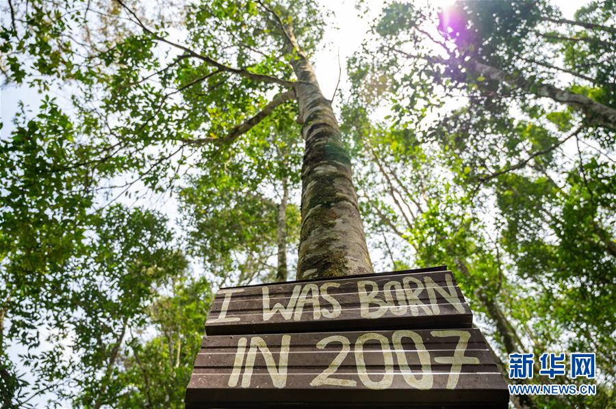 （第三屆進博會&middot;圖文互動）（4）專訪：進博會提供了一個共享中國發展機遇的平臺