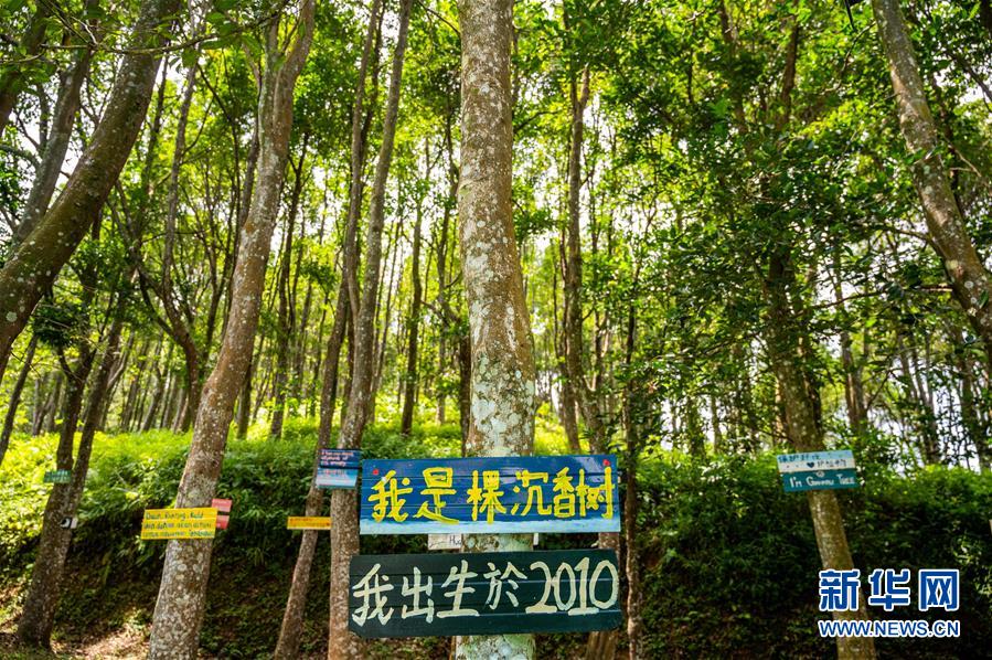 （第三屆進博會&middot;圖文互動）（10）專訪：進博會提供了一個共享中國發展機遇的平臺