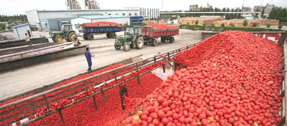 中國推動構建共贏、互信、發展的新絲綢之路