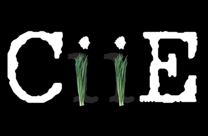 新華社創意動感視頻：考眼力！數數多少樣進口貨