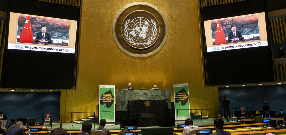 習(xí)近平在聯(lián)合國(guó)生物多樣性峰會(huì)上發(fā)表重要講話(huà)