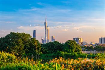 生態中國&middot;城中濕地譜粵章